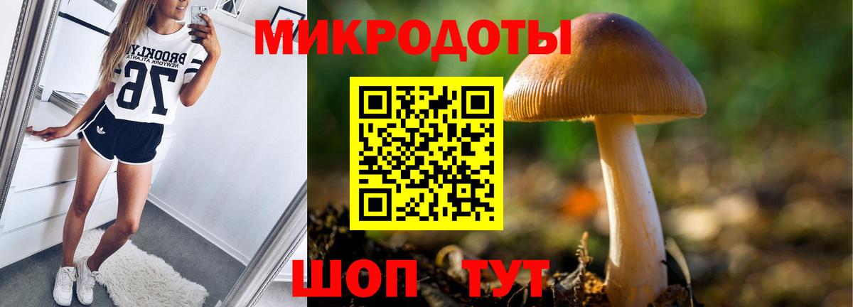 Галлюциногенные грибы Psilocybe  Псилоцибиновые грибы мухоморы  Вход с VPN  Пыть-Ях 